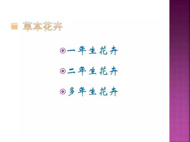 开花花卉大全