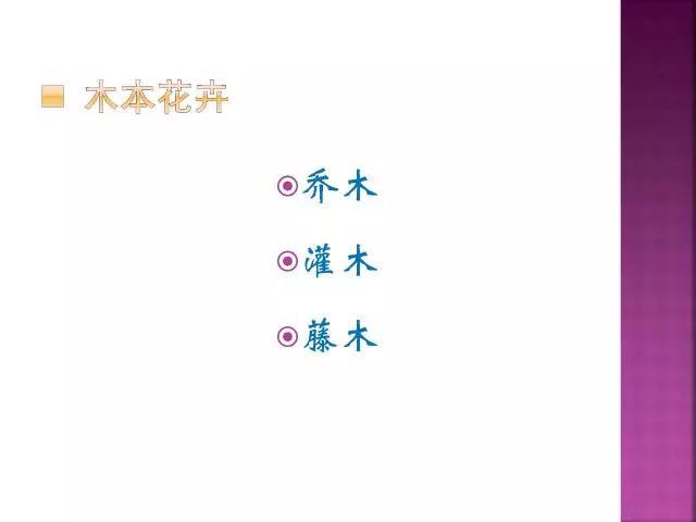 开花花卉大全