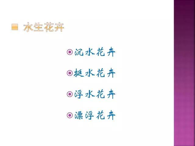 开花花卉大全