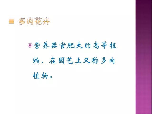 开花花卉大全