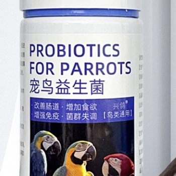 鹦鹉益生菌